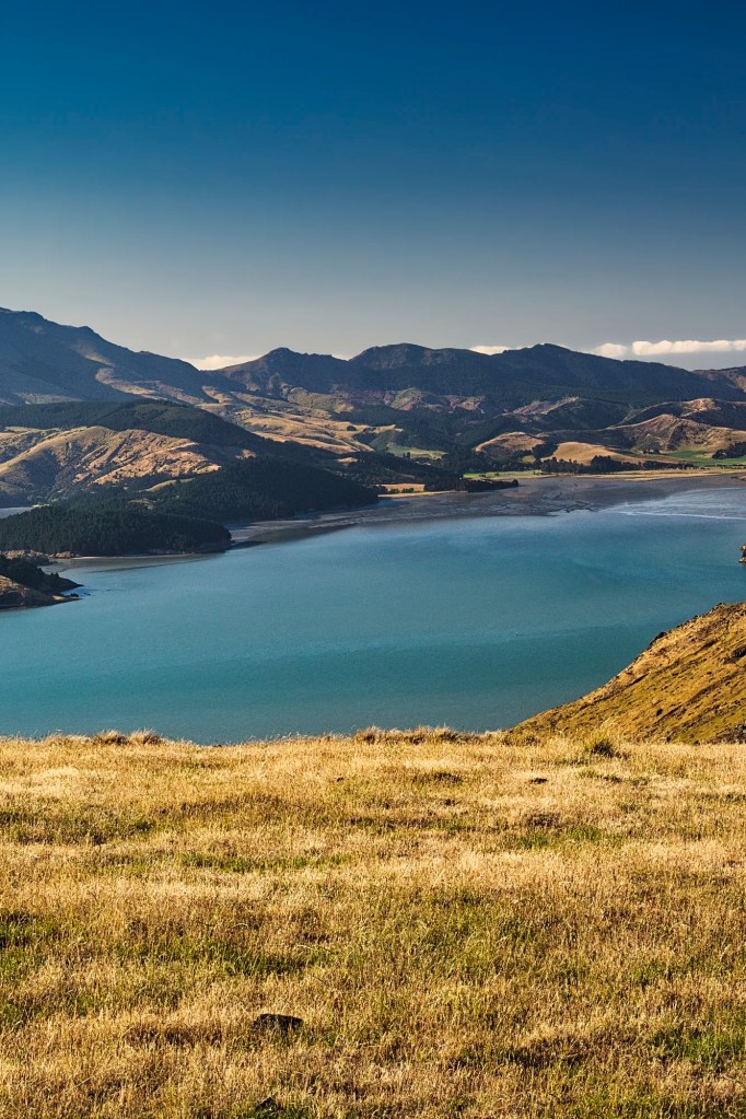 Lyttelton Harbour Viewpoint, Banks Peninsula, NZ