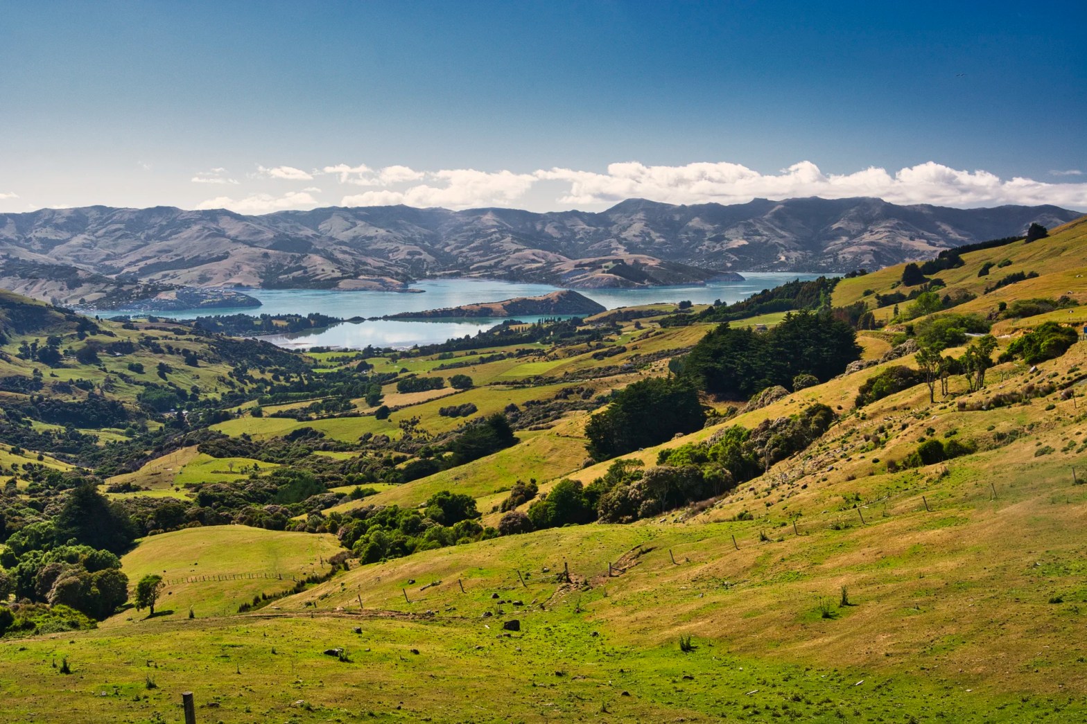Hilltop Viewpoint, Banks Peninsula, NZ