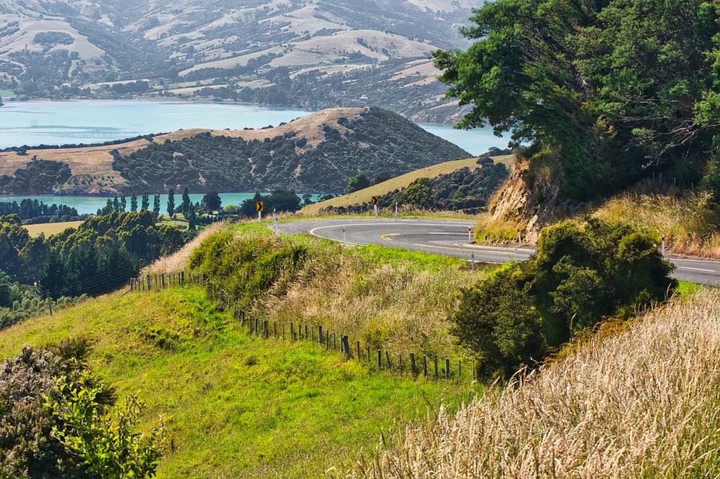 Akaroa Viewpoint, Banks Peninsula, NZ