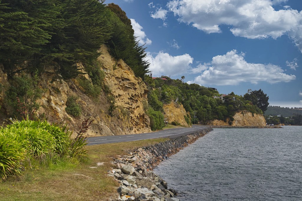Coastal Road, Otago Peninsula, NZ