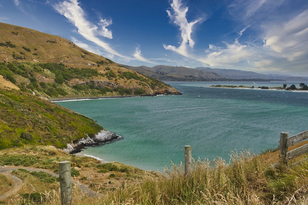 Pilot’s Beach, Otago Peninsula, NZ