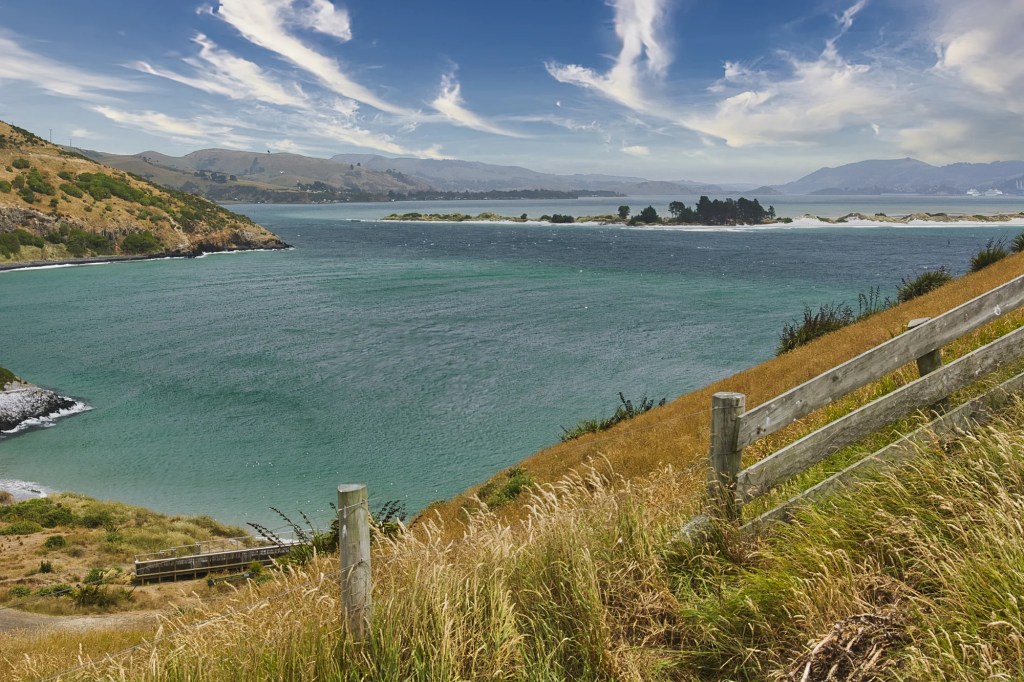 Pilot’s Beach, Otago Peninsula, NZ