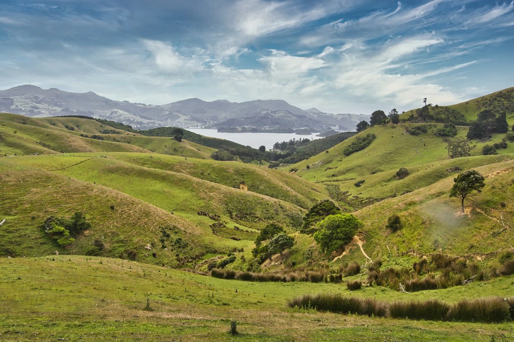 Highcliffe Road View, Otago Peninsula, NZ