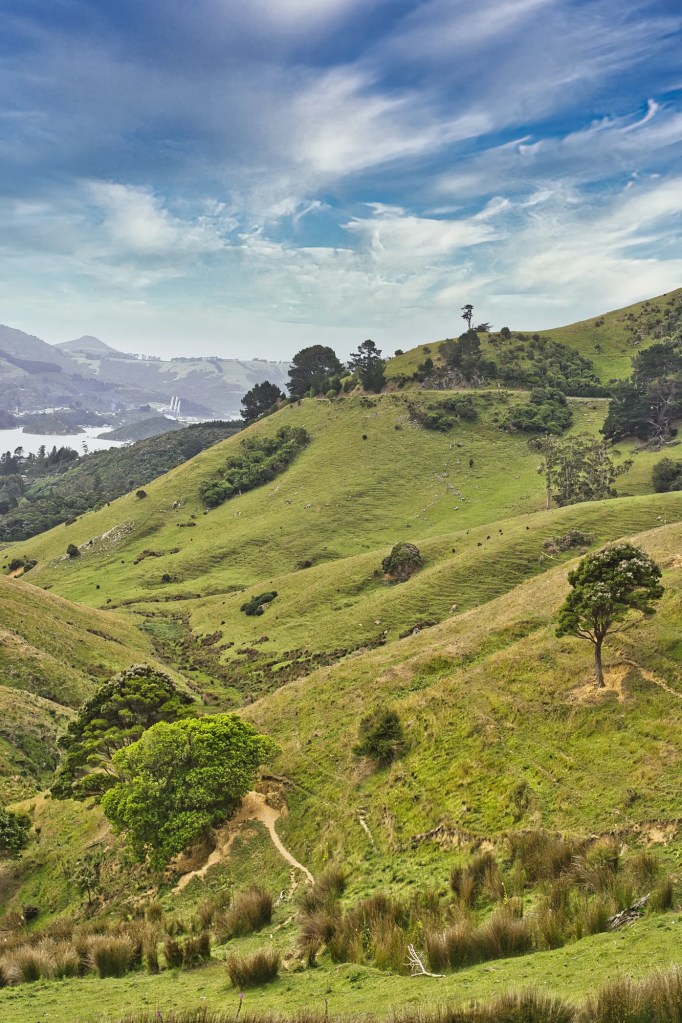 Highcliffe Road View, Otago Peninsula, NZ