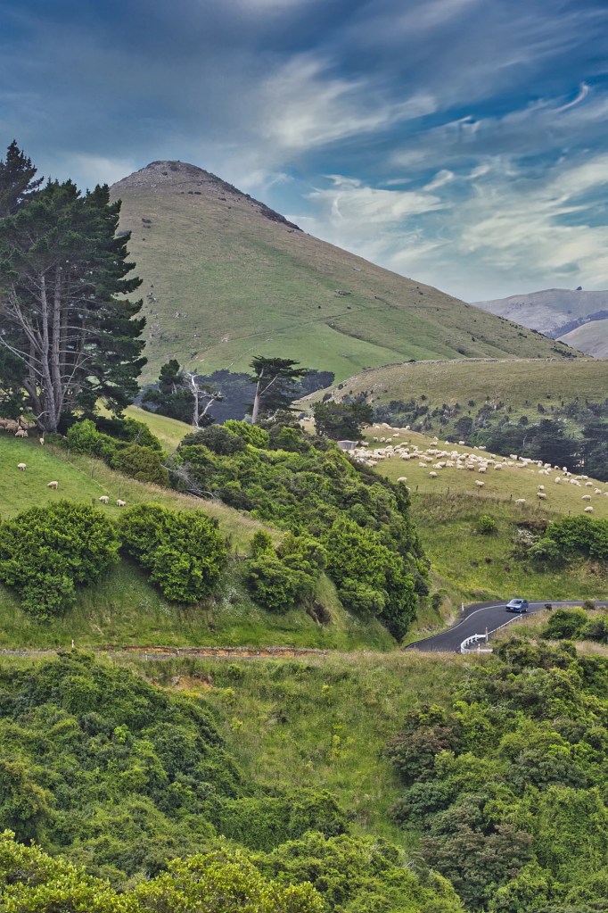 Harbour Cone, Highcliffe Road, Otago Peninsula, NZ