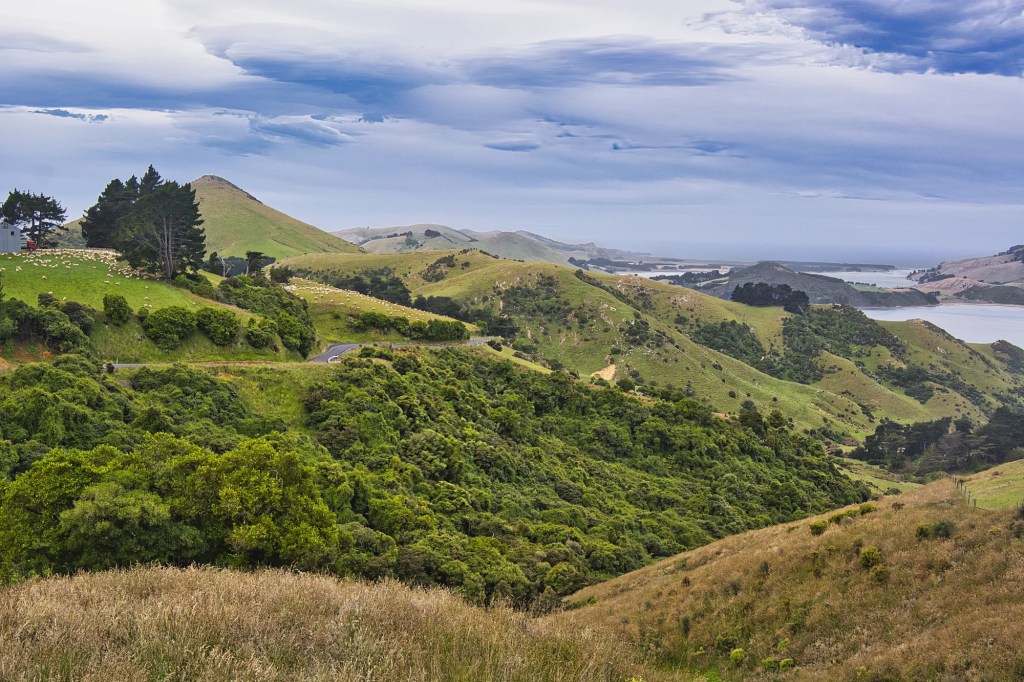 Harbour Cone, Highcliffe Road, Otago Peninsula, NZ