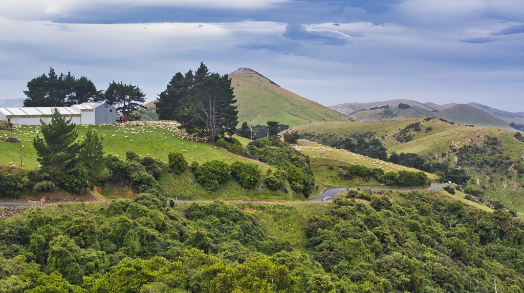 Harbour Cone, Highcliffe Road, Otago Peninsula, NZ