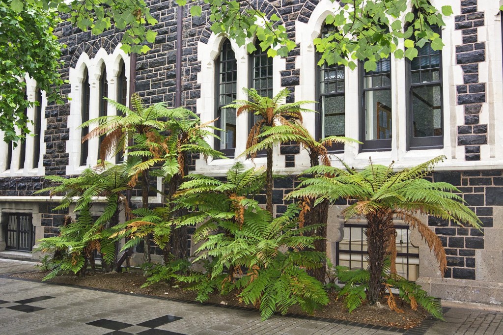 Geology Bldg, Dunedin, NZ