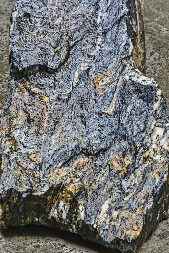 Schist Rock, Geology Bldg, Dunedin, NZ