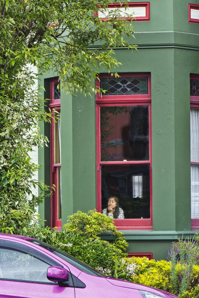 Thinking Tenant, 519 George St., Dunedin, NZ