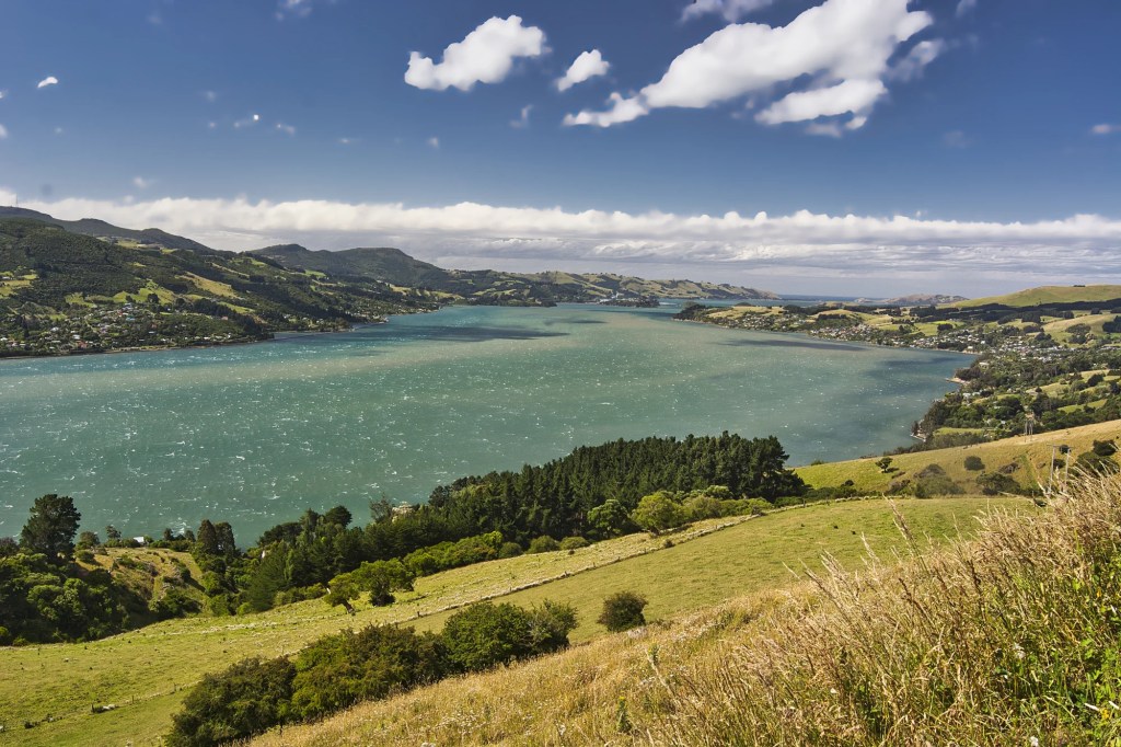 Highcliffe Road Viewpoint, Otago Peninsula, NZ