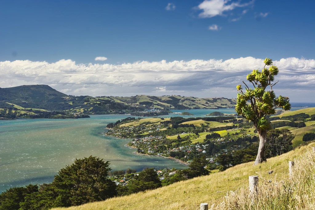 Highcliffe Road Viewpoint, Otago Peninsula, NZ