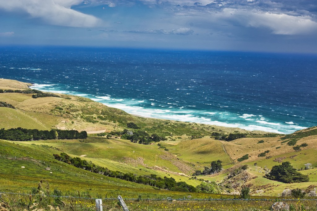 Boulder Beach Viewpoint, Otago Peninsula, NZ