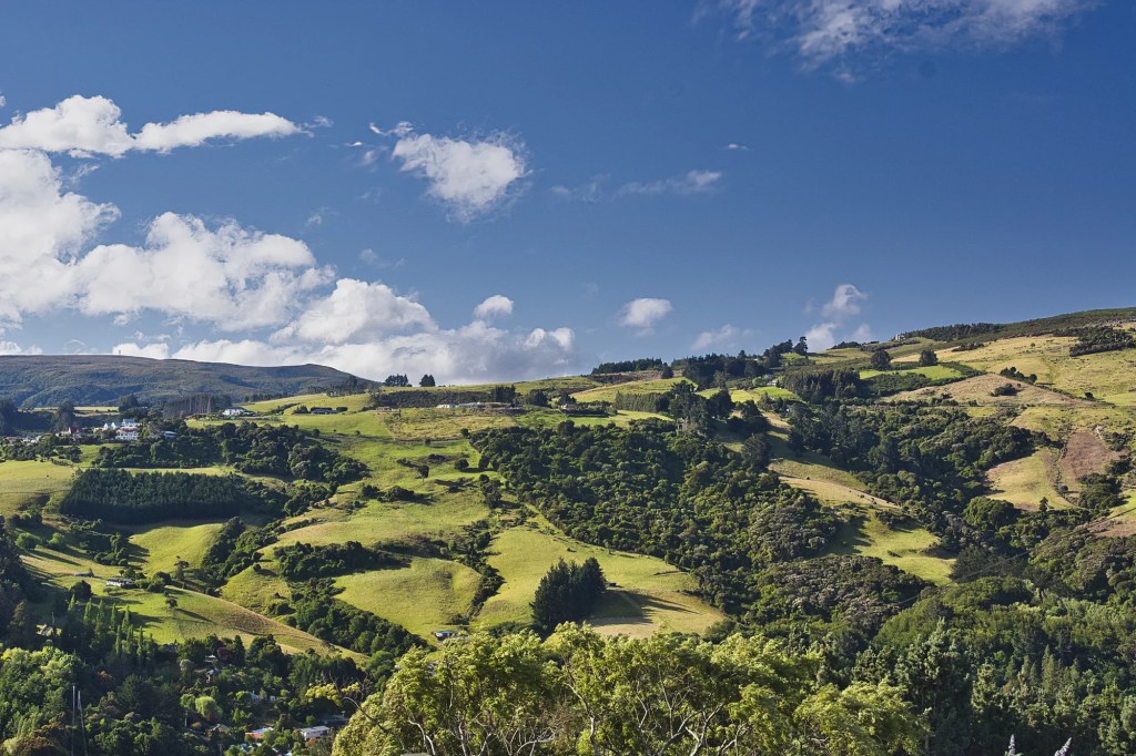 Beautiful Landscape, north of Dunedin, NZ