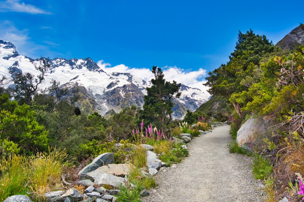Path after the Suspension Bridge, Hooker Valley Track