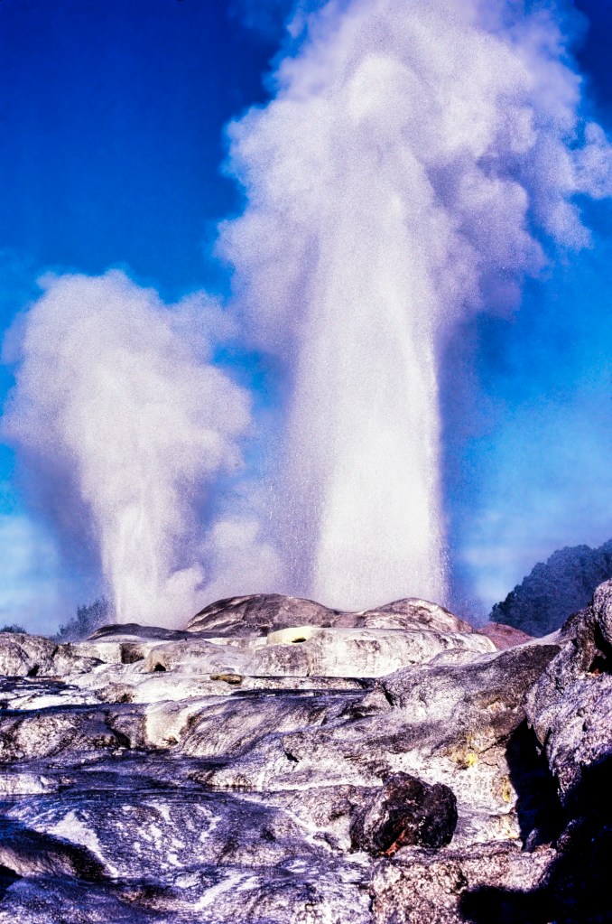 Pohutu Geyser, Whakarewarewa, NZ