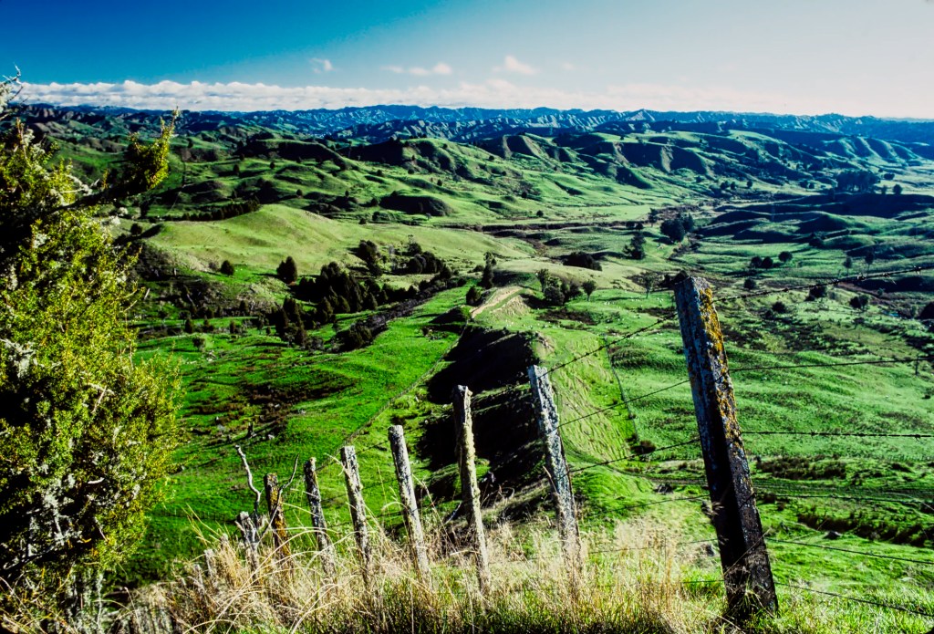 Taumarunui Farmland, NZ