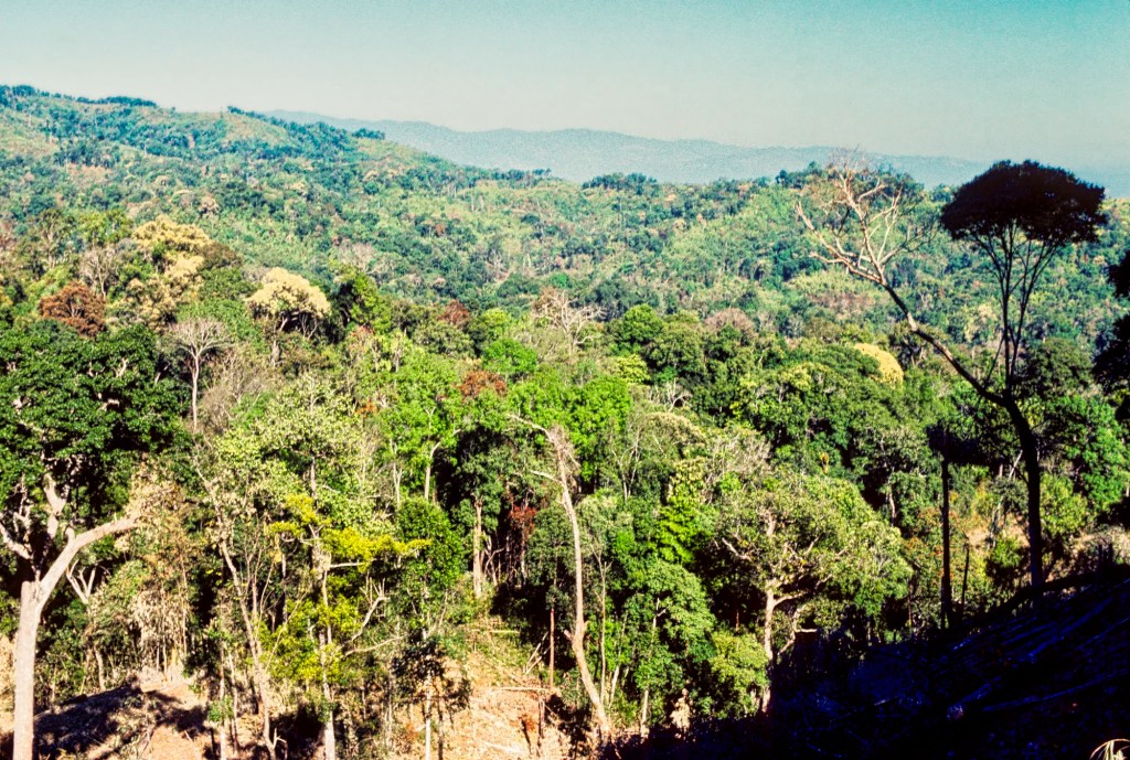 View 21 mins after Shan Village, Hill Tribe Trek, TH 47-38