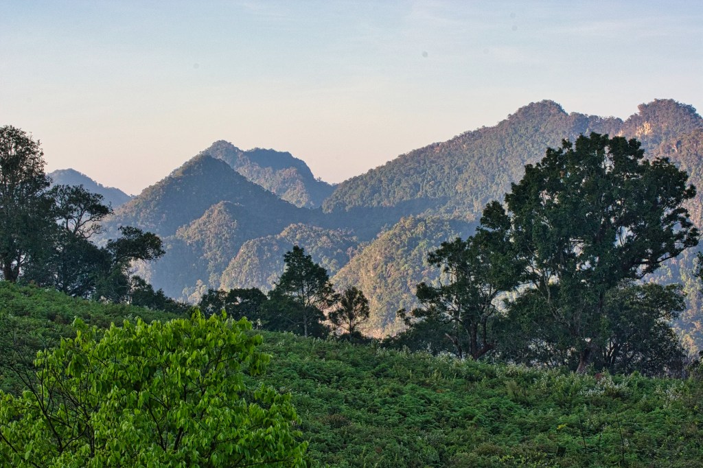Mae Per Valley?, Doi Ang Khang, Thailand