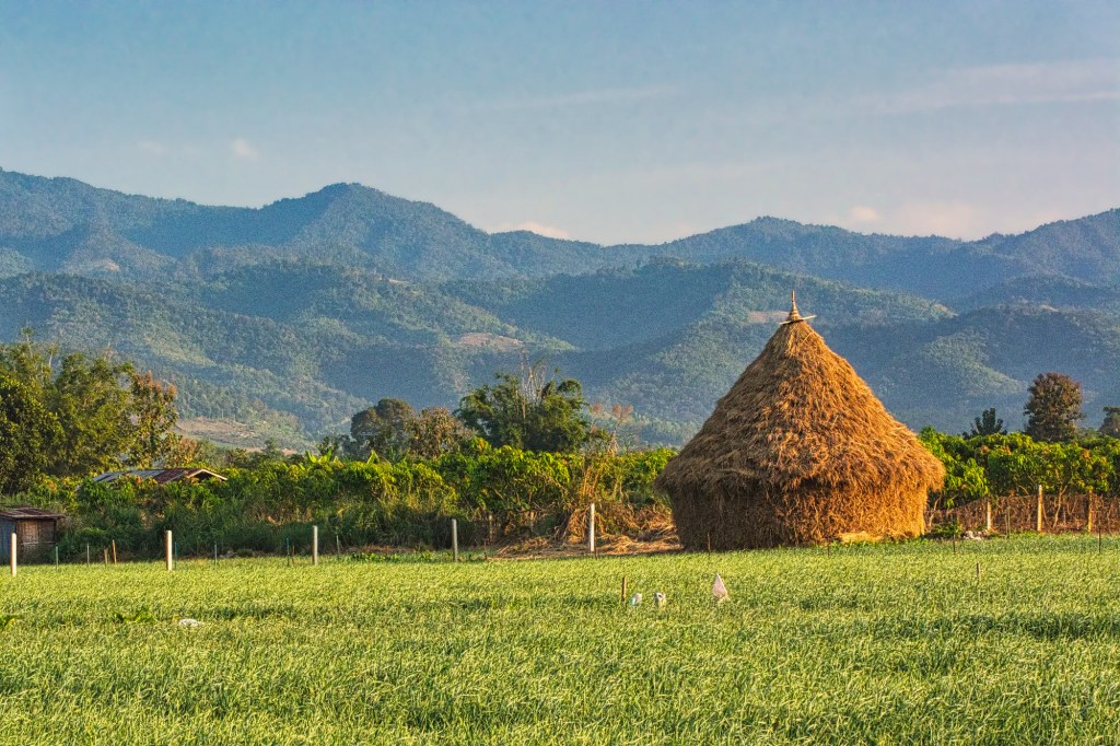 Near Sui Thang Viewpoint, Doi Ang Khang, Thailand