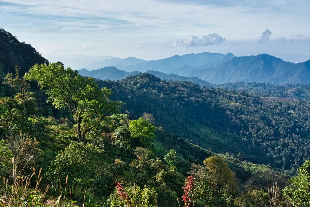 San Ju Viewpoint, Doi Lang NP, Thailand