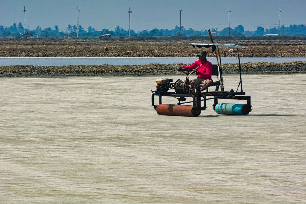 Salt Roller, Laem Phak Bia Salt Pans, Thailand