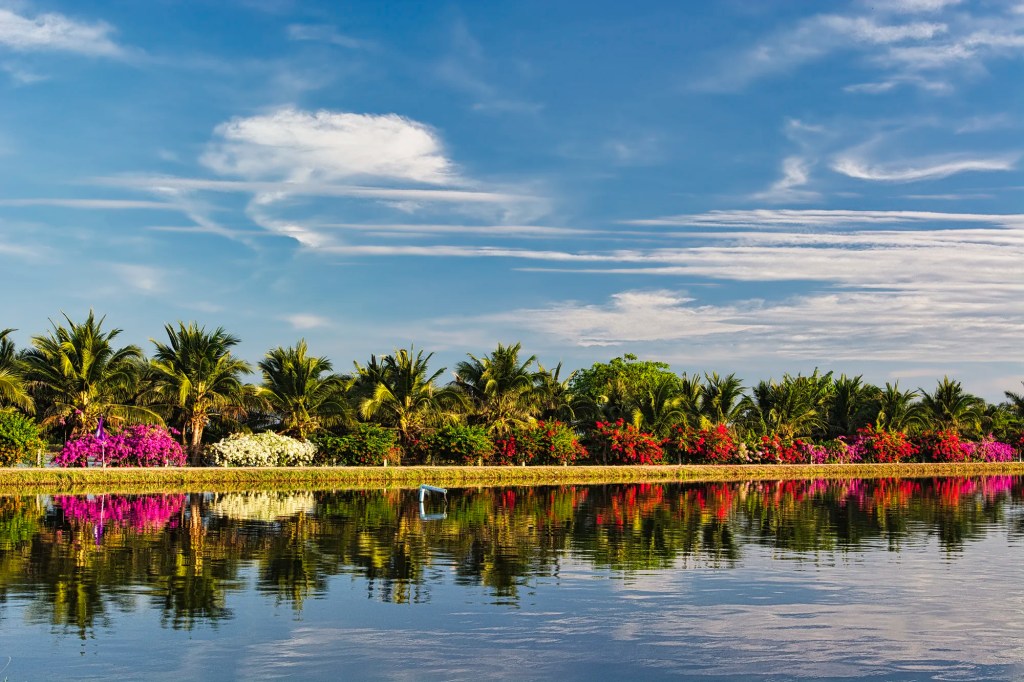 Flowers and Trees, Laem Phak Bia Project, Phetchaburi, Thailand