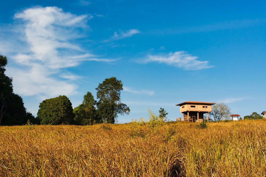 Watchtower on Trail B, Khao Yai NP, Thailand
