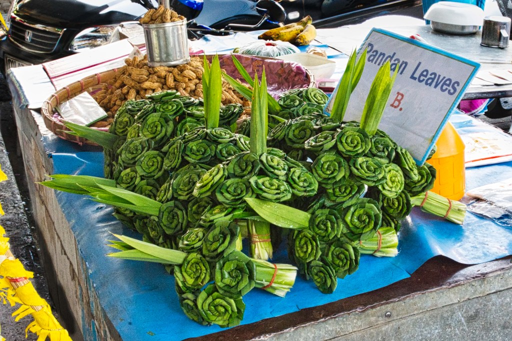 Pandan Leaves, Chiang Mai