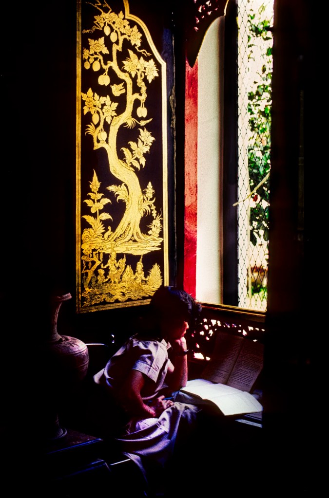 Gold Bodhi Tree on Black Lacquered Window, National Museum