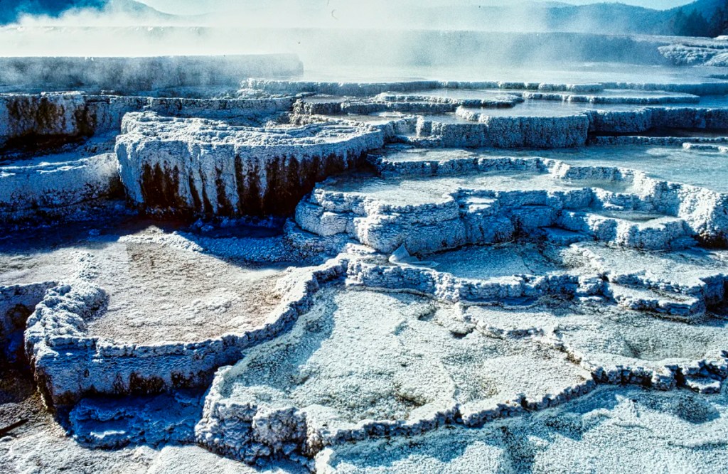 Minerva Terraces, Yellowstone NP
