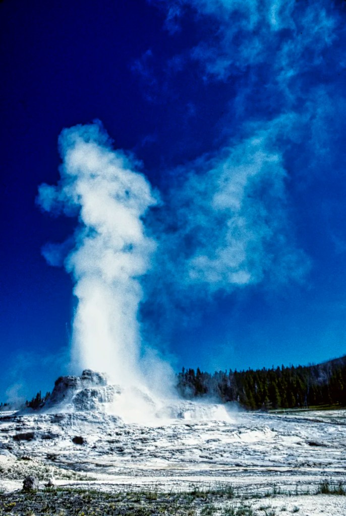 Castle Geyser, Yellowstone NP