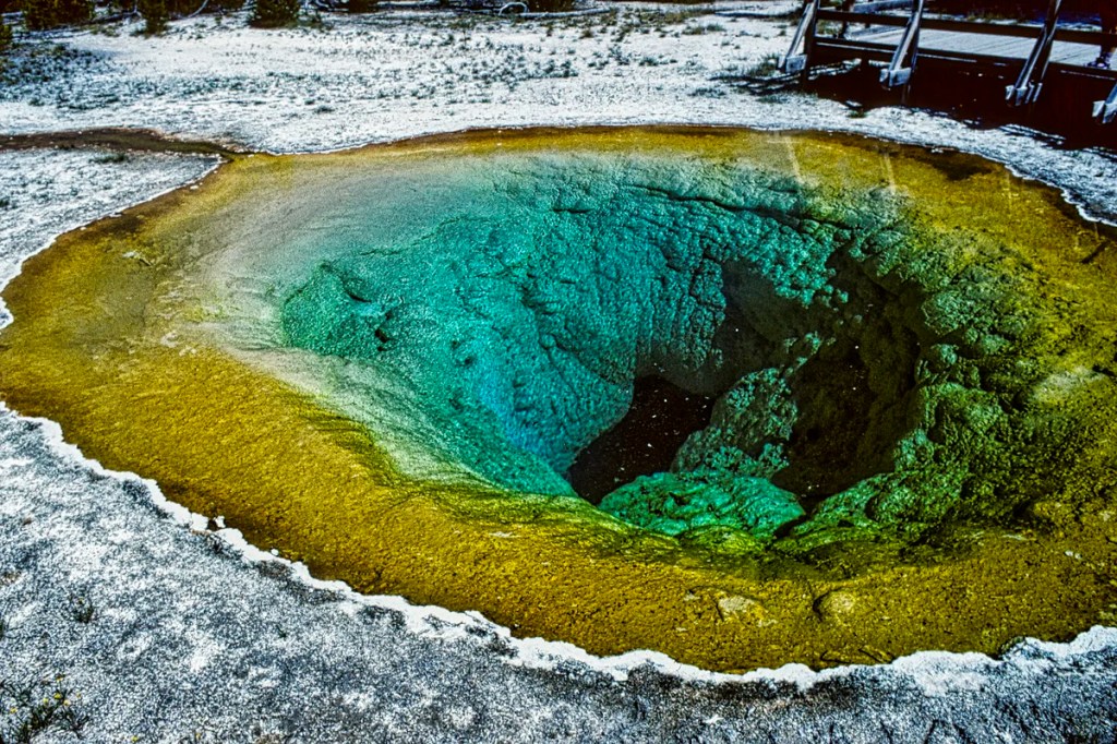 Morning Glory Thermal Pool, Yellowstone NP